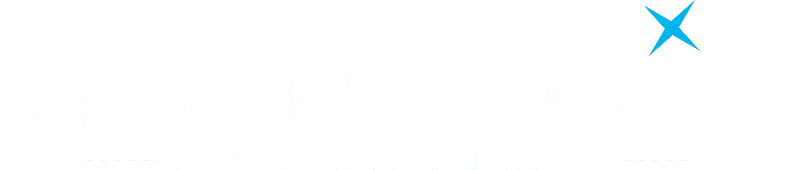Brightnest Auto Detailing Logo White